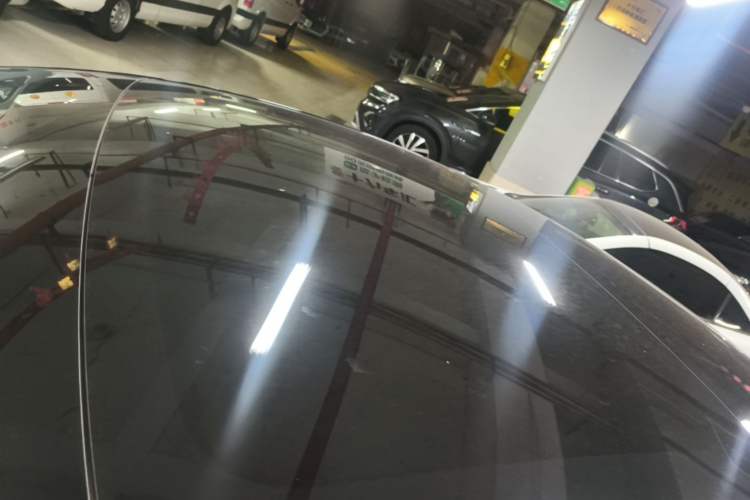 Used Tesla Model 3 2023 Rear-Wheel-Drive Version Roof