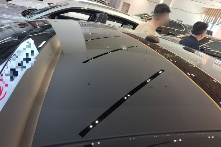 Used Tesla Model 3 2023 Rear-Wheel-Drive Version Roof