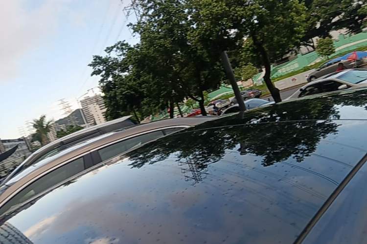 Used Tesla Model 3 2023 Rear-Wheel-Drive Version Roof
