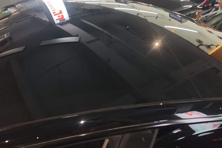 Used Tesla Model 3 2023 Long-Range All-Wheel-Drive Version Roof