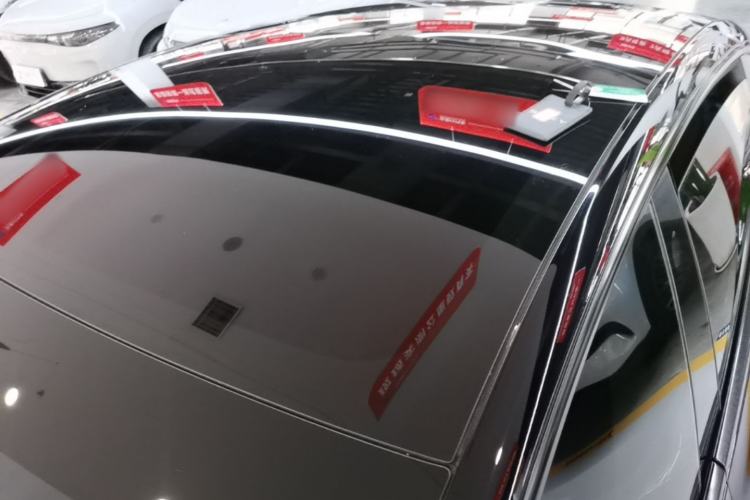 Used Tesla Model 3 2023 Rear-Wheel-Drive Version Roof