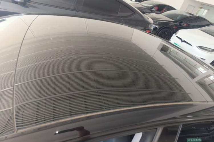 Used Tesla Model 3 2023 Rear-Wheel-Drive Version Roof