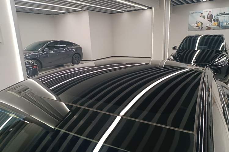 Used Tesla Model 3 2023 Rear-Wheel-Drive Version Roof