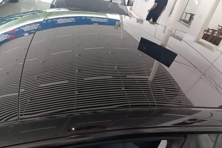 Used Tesla Model 3 2023 Rear-Wheel-Drive Version Roof