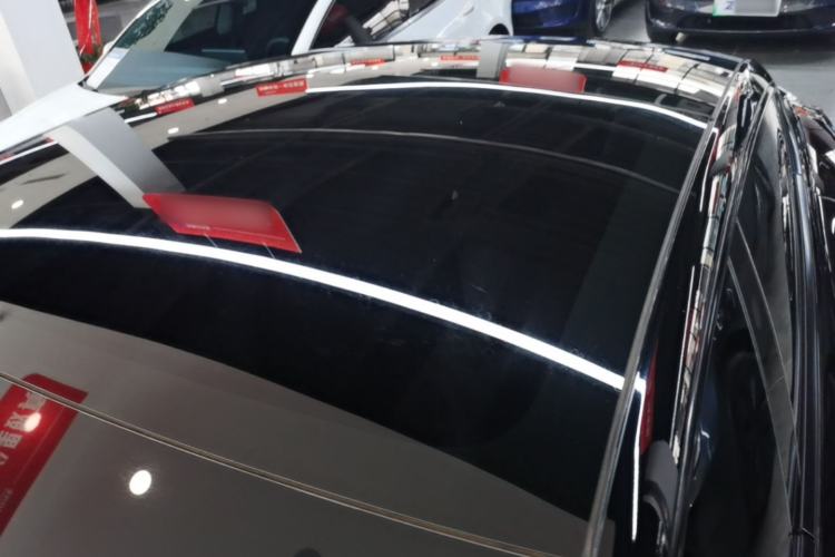 Used Tesla Model 3 2023 Rear-Wheel-Drive Version Roof