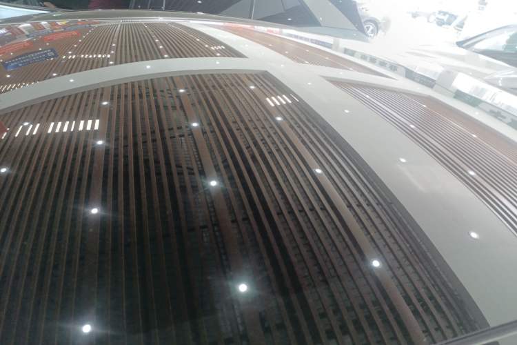 Used Tesla Model 3 2023 Rear-Wheel-Drive Version Roof