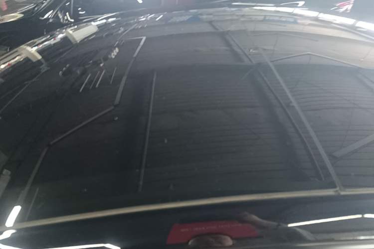 Used Tesla Model 3 2023 Rear-Wheel-Drive Version Roof