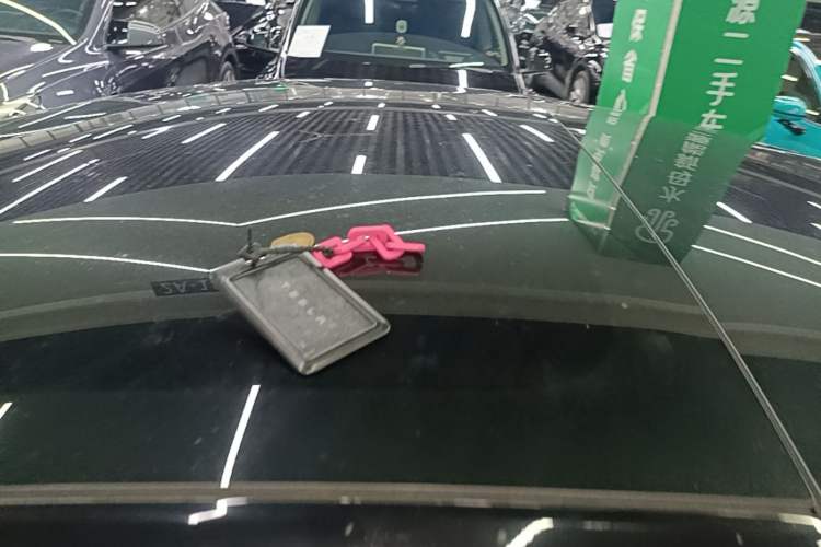 Used Tesla Model 3 2023 Rear-Wheel-Drive Version Roof