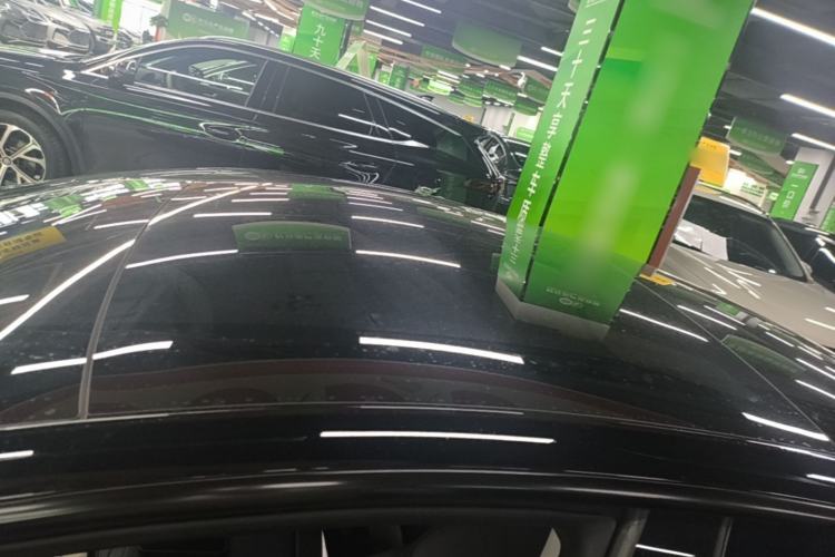 Used Tesla Model 3 2023 Rear-Wheel-Drive Version Roof