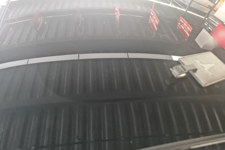 Used Tesla Model 3 2023 Rear-Wheel-Drive Version Roof