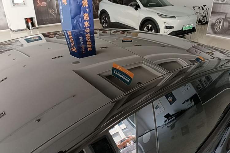 Used Tesla Model 3 2023 Rear-Wheel-Drive Version Roof