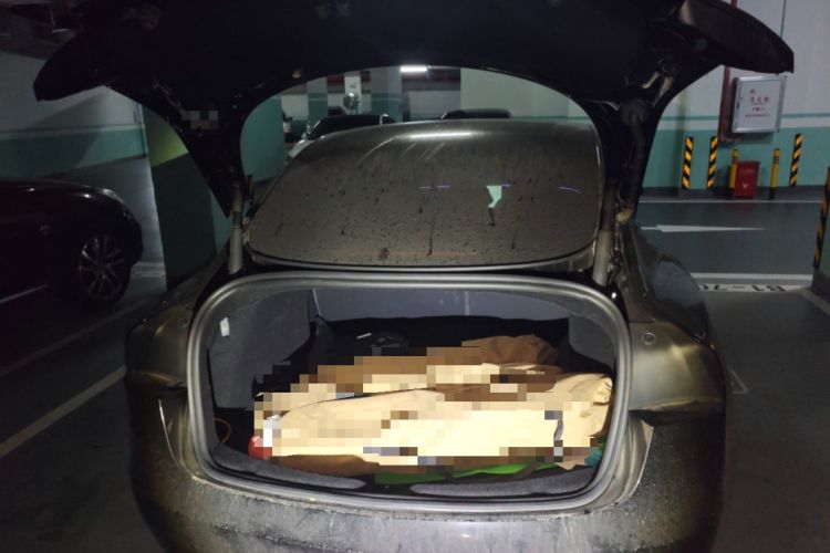 Used Tesla Model 3 2023 Long-Range All-Wheel-Drive Version Trunk