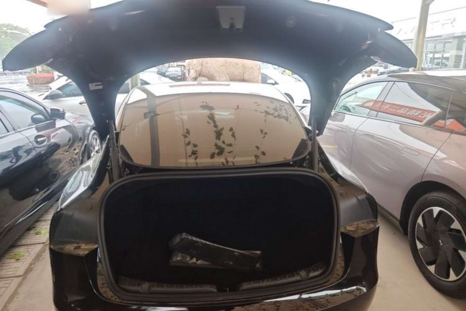 Used Tesla Model 3 2023 Rear-Wheel-Drive Version Trunk