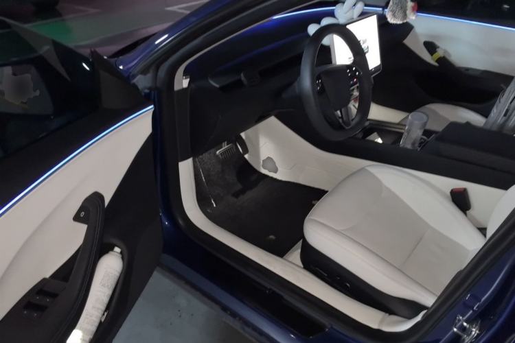 Used Tesla Model 3 2023 Rear-Wheel-Drive Version Driver Seat