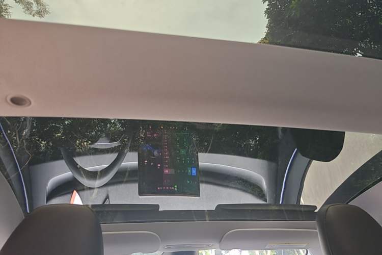 Used Tesla Model 3 2023 Long-Range All-Wheel-Drive Version Headliner