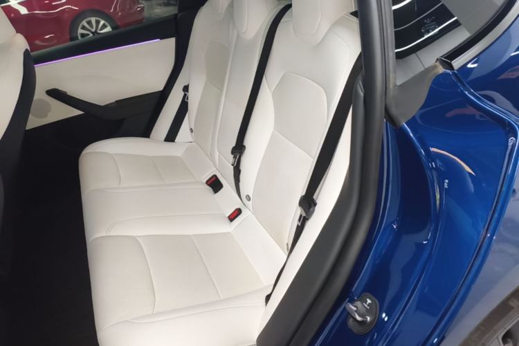 Used Tesla Model 3 2023 Rear-Wheel-Drive Version Left Rear Seat