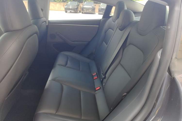 Used Tesla Model 3 2023 Rear-Wheel-Drive Version Left Rear Seat