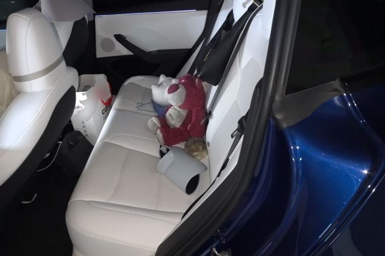 Used Tesla Model 3 2023 Rear-Wheel-Drive Version Left Rear Seat
