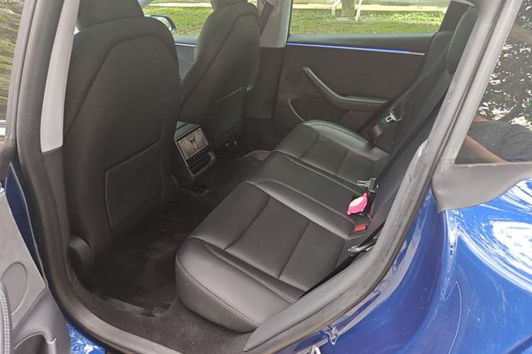 Used Tesla Model 3 2023 Long-Range All-Wheel-Drive Version Left Rear Seat