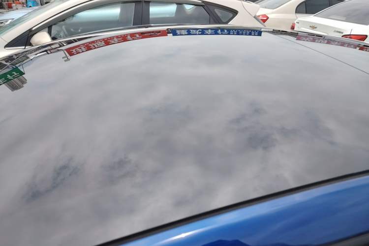 Used Tesla Model 3 2023 Rear-Wheel-Drive Version Roof
