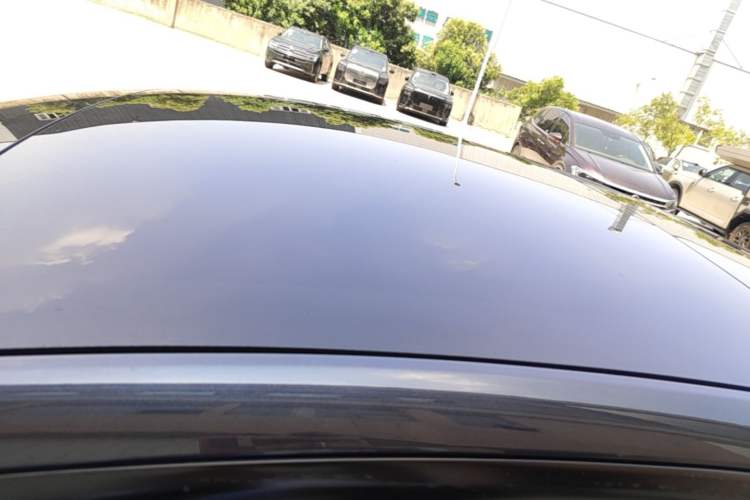 Used Tesla Model 3 2023 Rear-Wheel-Drive Version Roof