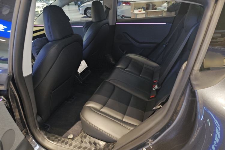 Used Tesla Model 3 2023 Rear-Wheel-Drive Version Interior 1