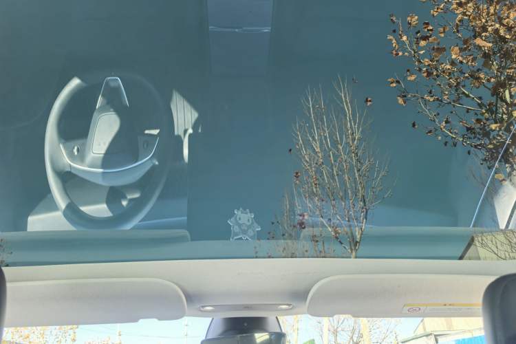 Used Tesla Model 3 2023 Rear-Wheel-Drive Version Headliner