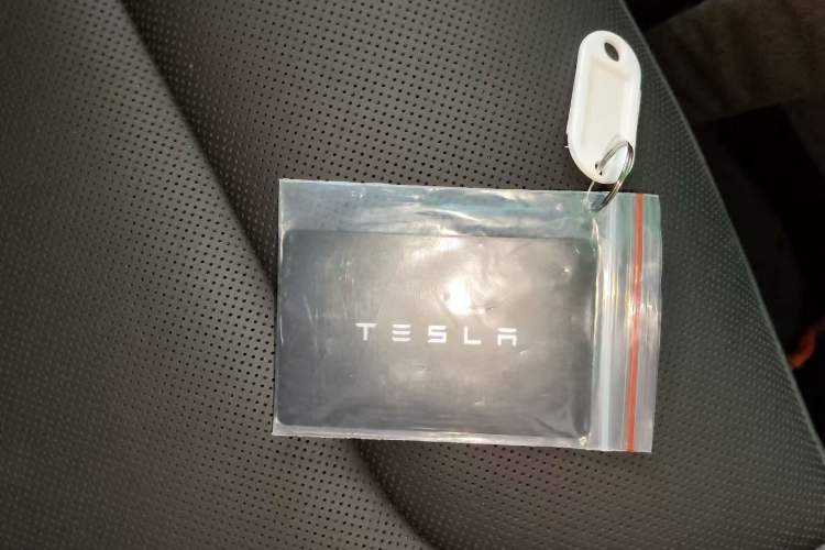 Used Tesla Model 3 2023 Rear-Wheel-Drive Version Interior 1