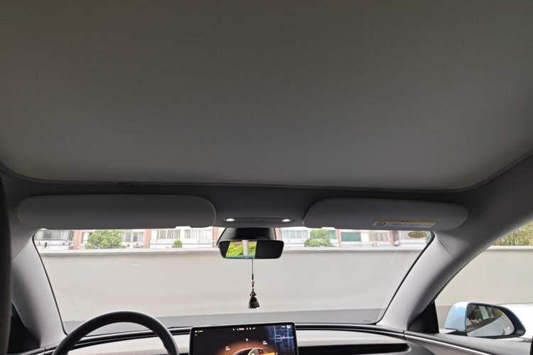 Used Tesla Model 3 2023 Rear-Wheel-Drive Version Headliner