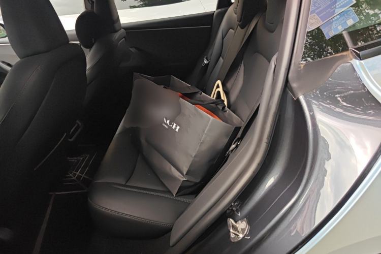 Used Tesla Model 3 2023 Rear-Wheel-Drive Version Left Rear Seat