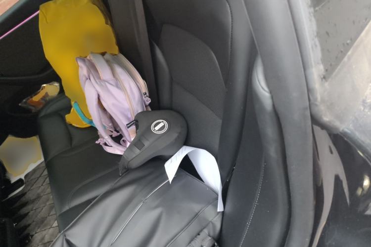 Used Tesla Model 3 2023 Rear-Wheel-Drive Version Left Rear Seat