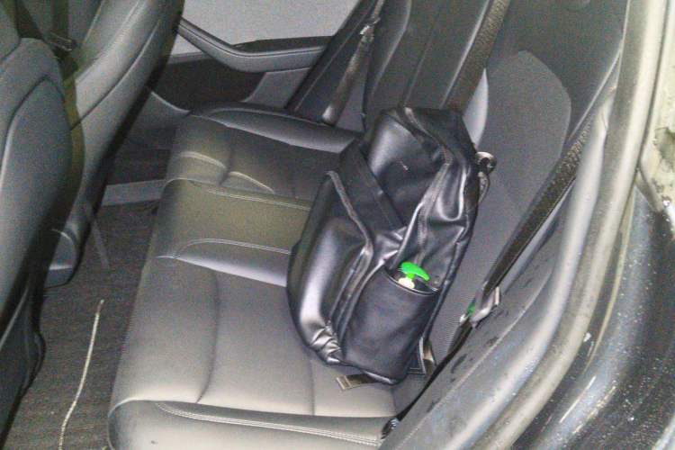 Used Tesla Model 3 2023 Rear-Wheel-Drive Version Left Rear Seat