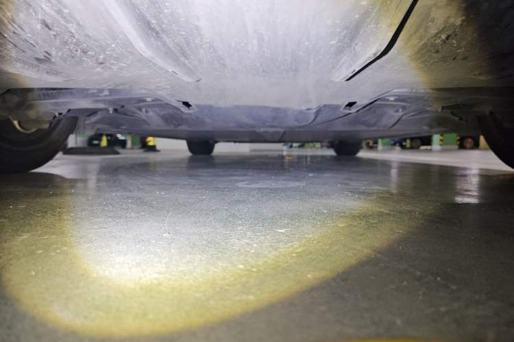Used Tesla Model 3 2023 Rear-Wheel-Drive Version Chassis Rear