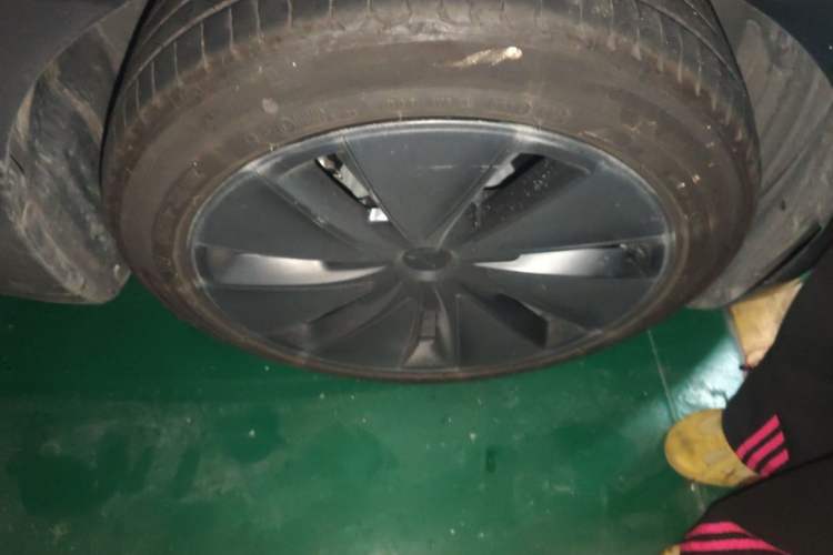 Used Tesla Model 3 2023 Rear-Wheel-Drive Version Exterior 1