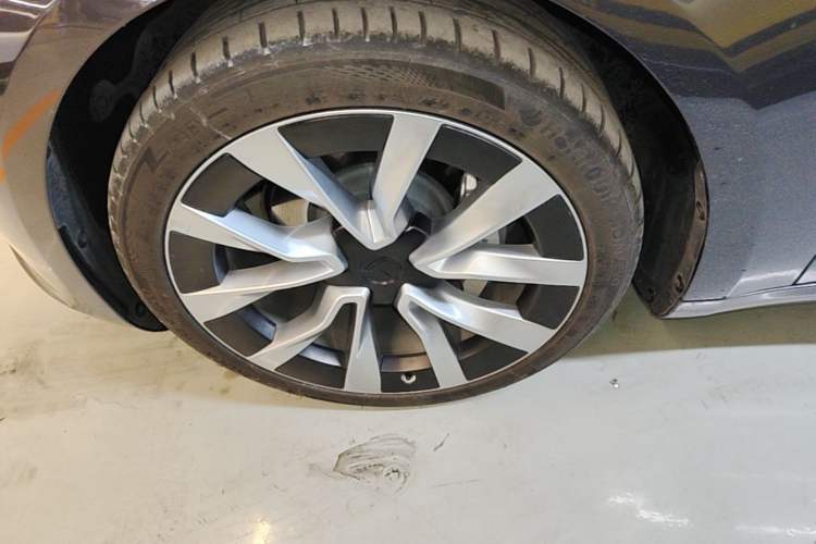 Used Tesla Model 3 2023 Rear-Wheel-Drive Version Exterior 4