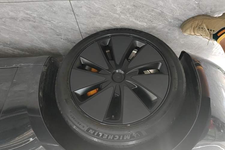 Used Tesla Model 3 2023 Rear-Wheel-Drive Version Exterior 4