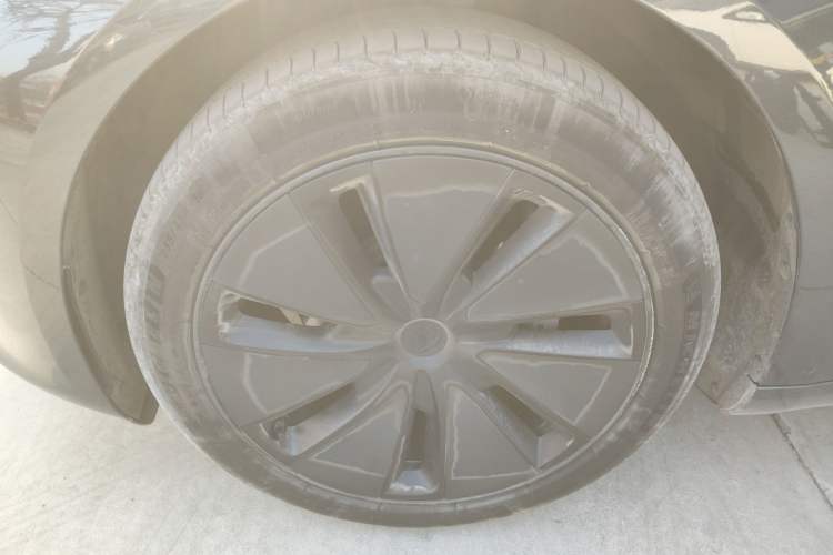 Used Tesla Model 3 2023 Rear-Wheel-Drive Version Exterior 4