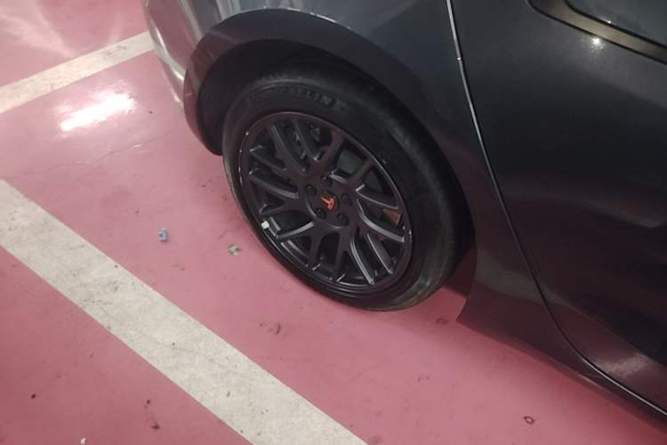 Used Tesla Model 3 2023 Rear-Wheel-Drive Version Exterior 5