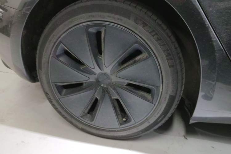Used Tesla Model 3 2023 Rear-Wheel-Drive Version Exterior 5