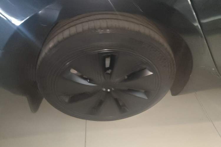 Used Tesla Model 3 2023 Rear-Wheel-Drive Version Exterior 5