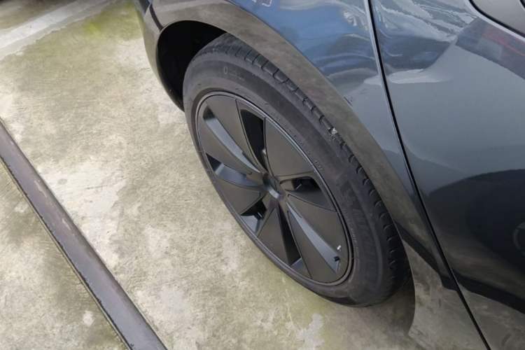 Used Tesla Model 3 2023 Rear-Wheel-Drive Version Exterior 5