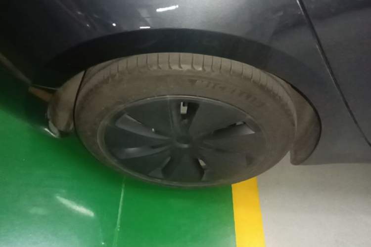 Used Tesla Model 3 2023 Rear-Wheel-Drive Version Exterior 5