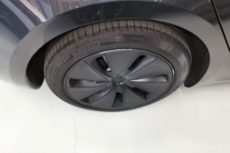 Used Tesla Model 3 2023 Rear-Wheel-Drive Version Exterior 5