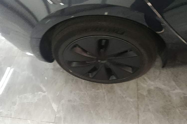 Used Tesla Model 3 2023 Rear-Wheel-Drive Version Exterior 5
