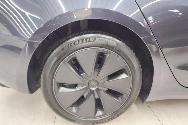 Used Tesla Model 3 2023 Rear-Wheel-Drive Version Exterior 5