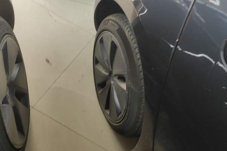 Used Tesla Model 3 2023 Rear-Wheel-Drive Version Exterior 5