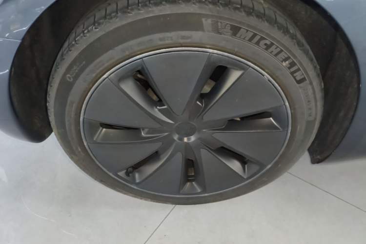 Used Tesla Model 3 2023 Rear-Wheel-Drive Version Exterior 5