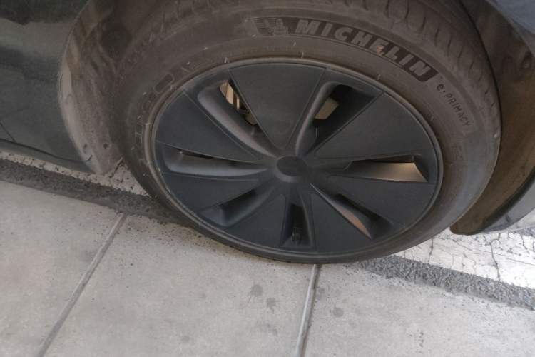 Used Tesla Model 3 2023 Rear-Wheel-Drive Version Exterior 7