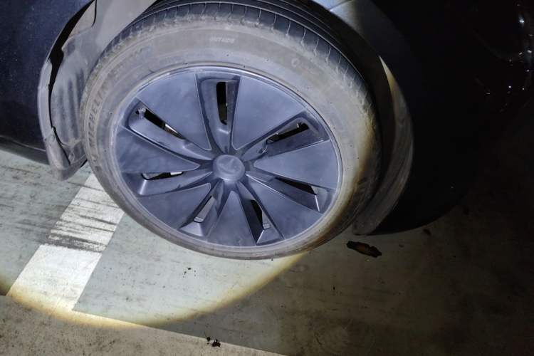 Used Tesla Model 3 2023 Rear-Wheel-Drive Version Exterior 7