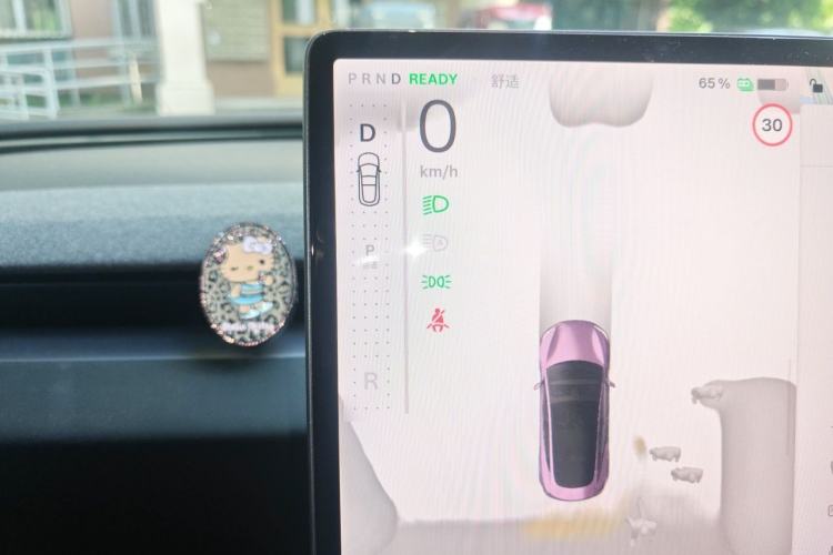 Used Tesla Model 3 2023 Long-Range All-Wheel-Drive Version Gear Lever